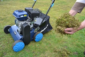 Location Scarificateur thermique avec bac de récupération à La Motte-Servolex