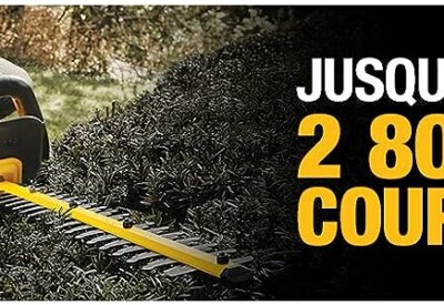 Location Taille haie électrique Dewalt à Auxerre