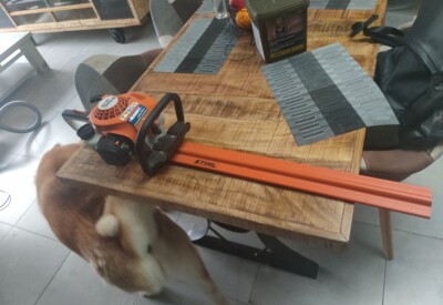 Location Taille haie Thermique Stihl à Orée d'Anjou