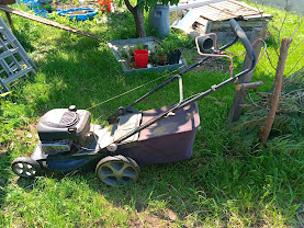 Location Tondeuse à gazon Thermique Autre à Neuville-Saint-Amand