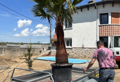 Location Remorque double essieux Moins de 750kg Autre à Castres