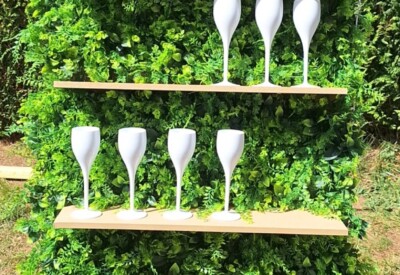 Location Mur A champagne végétal Autre à Le blanc mesnil