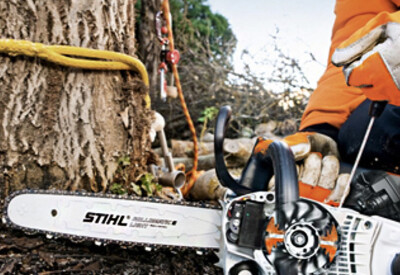 Location Élagueuse Thermique Stihl à La Ravoire