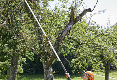 Location Tronçonneuse élagueuse Thermique Stihl à La Ravoire