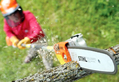 Location Tronçonneuse sur perche Thermique Stihl à Les Loges